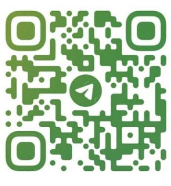 281-250-8159, 22  female escort, Tampa