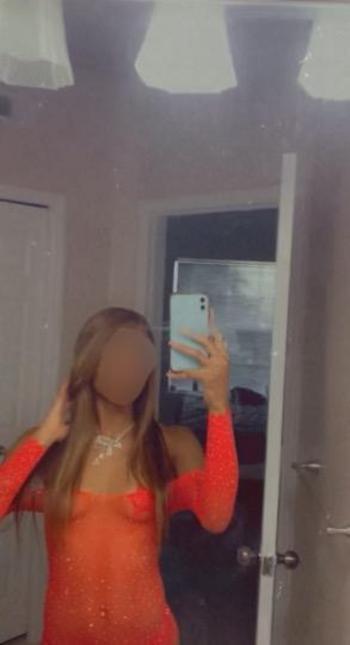 8136086820, female escort, Tampa