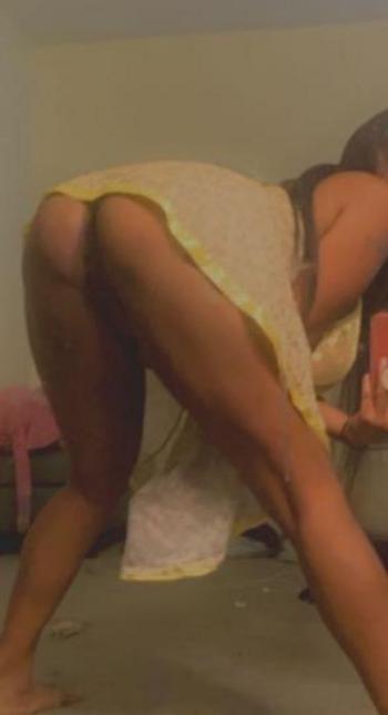8135964129, female escort, Tampa