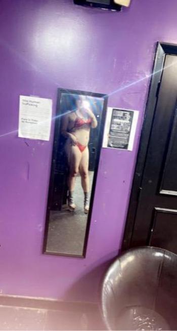 3528073888, female escort, Tampa