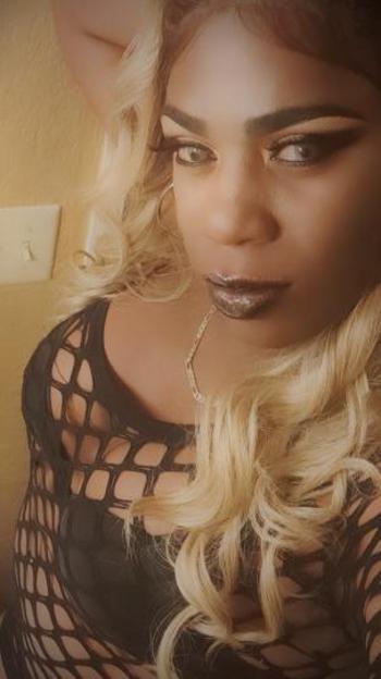 8139932043, female escort, Tampa