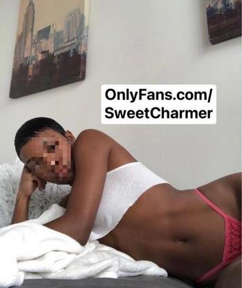 8135530417, female escort, Tampa