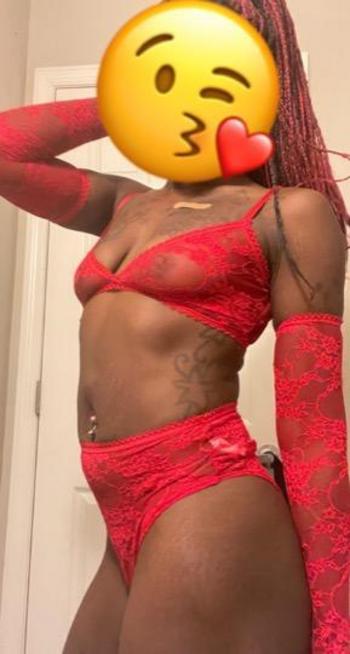 8132449782, female escort, Tampa