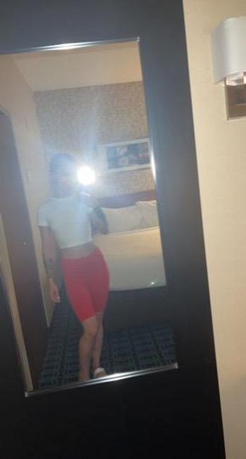 8133035282, female escort, Tampa