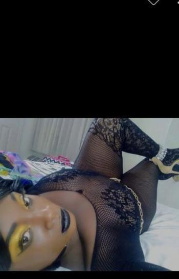 8135826321, female escort, Tampa