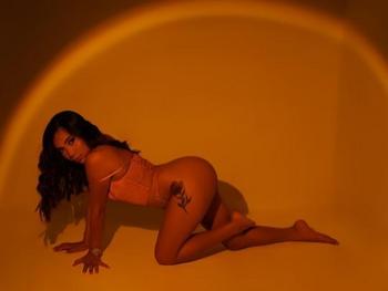 8133600462, female escort, Tampa