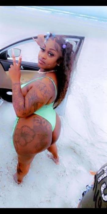 3059905782, female escort, Tampa