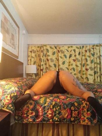 8138154425, female escort, Tampa