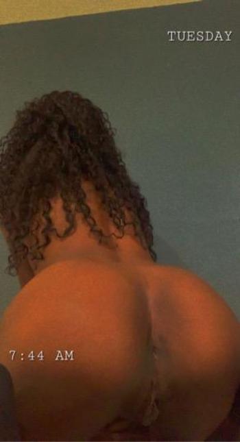 8136036571, female escort, Tampa