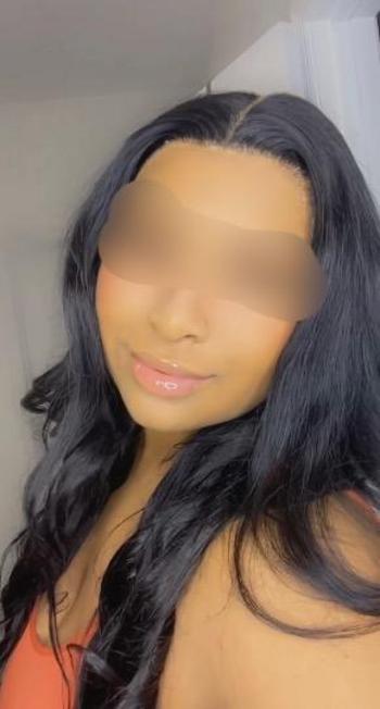 8636743203, female escort, Tampa