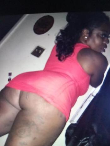 8137091244, female escort, Tampa