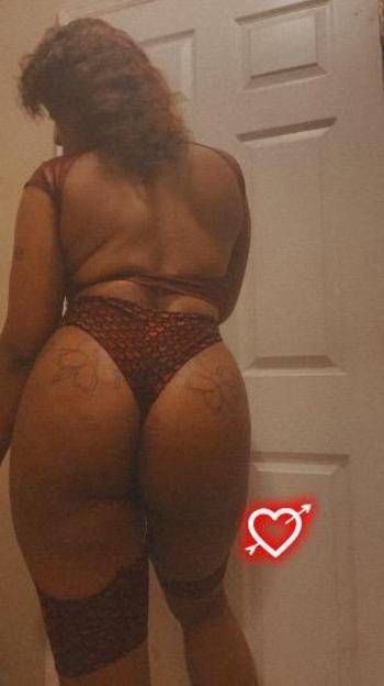 7867392557, female escort, Tampa