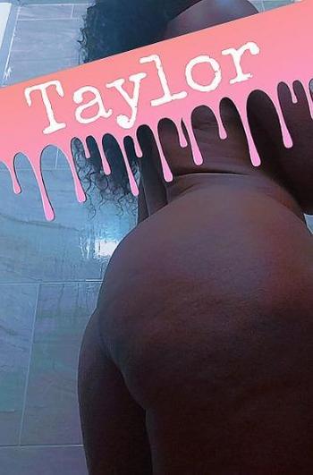 8136861153, female escort, Tampa