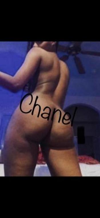 8135440360, female escort, Tampa