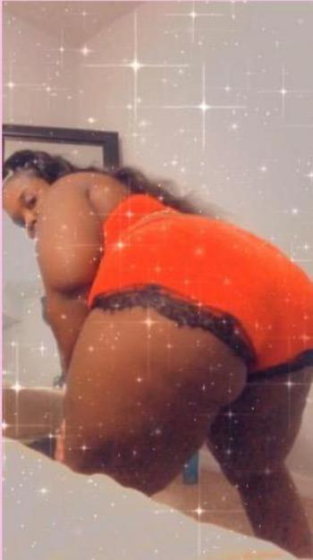 8133998208, female escort, Tampa