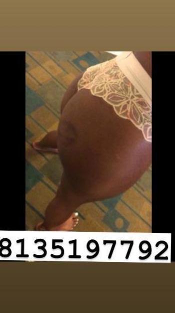 8135197792, female escort, Tampa