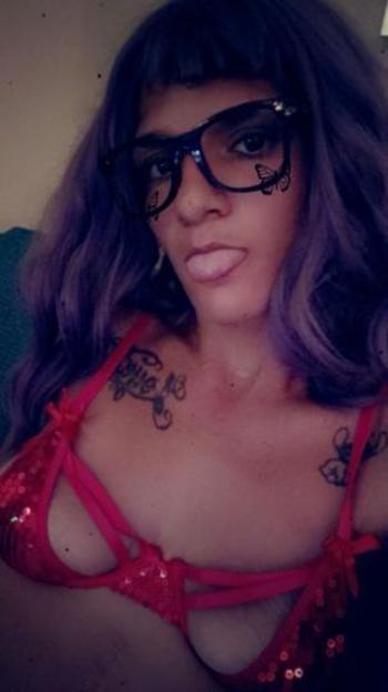 8135826684, female escort, Tampa