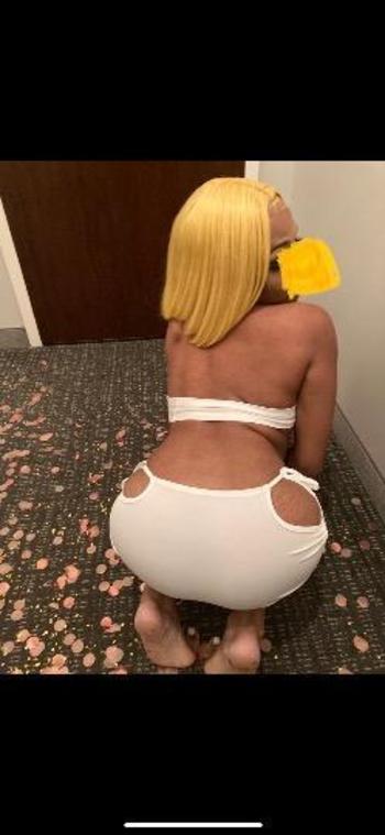 8138500844, female escort, Tampa