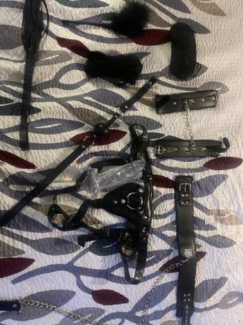 6569993653, female escort, Tampa